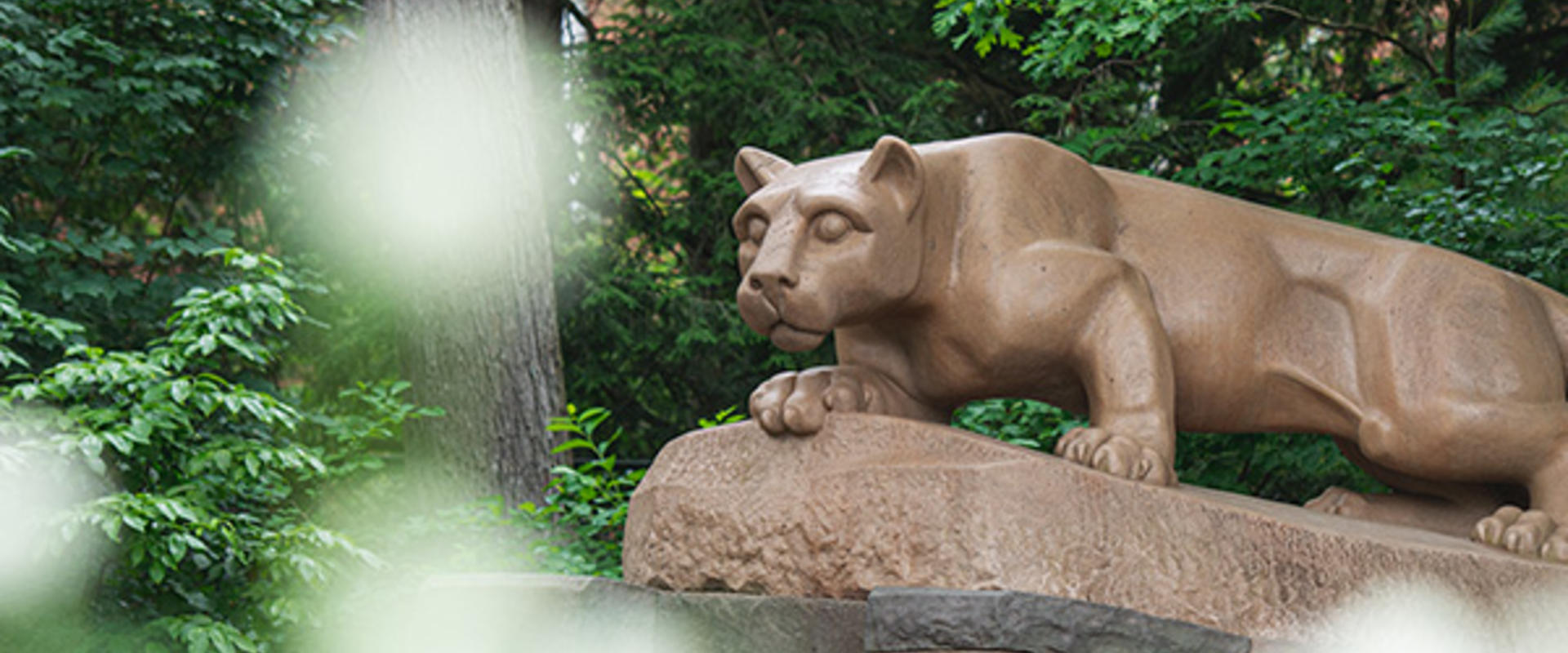 Nittany Lion Shrine with a low angled lense from the perspective of dandelions.